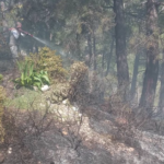 Υπό έλεγχο η πυρκαγιά που ξέσπασε ανάμεσα σε Σάλακο και Μαντρικό στη Ρόδο